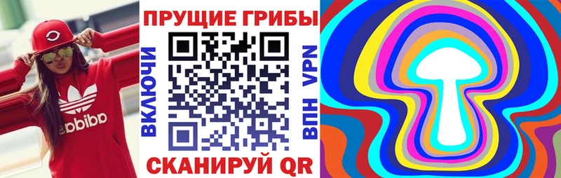 магазин    Разумное  Галлюциногенные грибы Psilocybine cubensis 